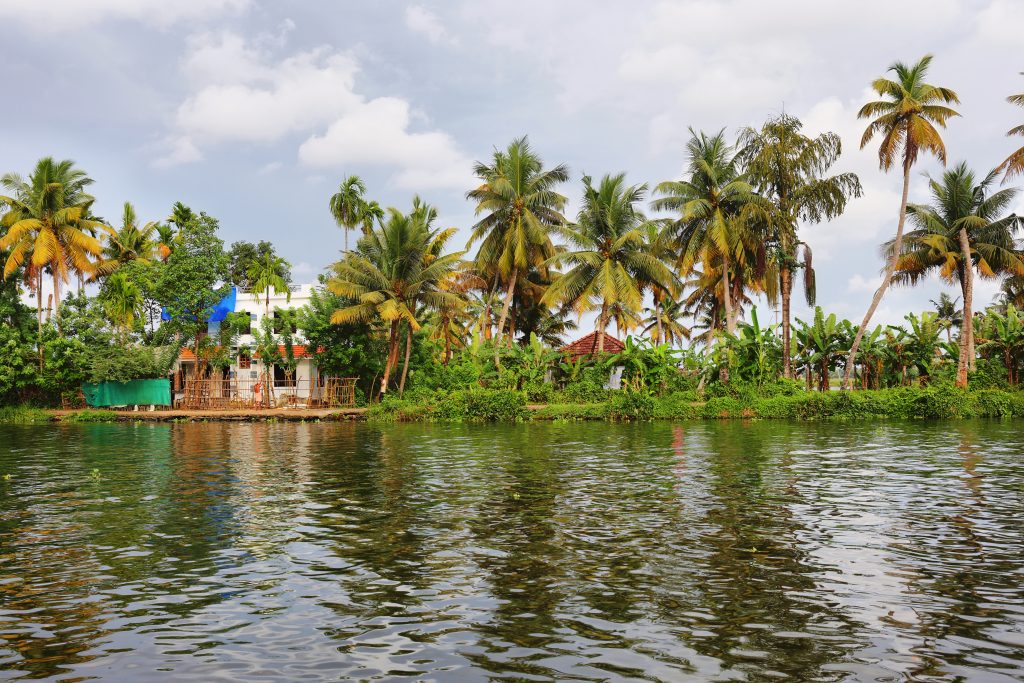 Backwaters in Allepey, Kerala, India.